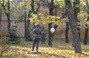 Музей изобразительных искусств