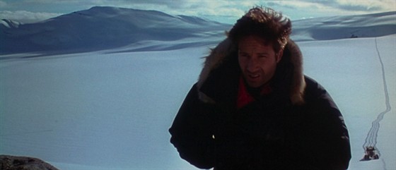 Дэвид Духовны (David Duchovny)