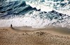 Лучшие фотографии России-2009, фото, фотография