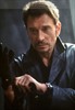 Джонни Холлидей (Johnny Hallyday)