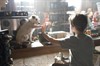 Отель для собак (Hotel for Dogs)