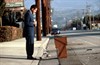Любовь, сбивающая с ног (Punch-Drunk Love)