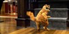 Гарфилд (Garfield: The Movie)