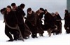 Корабельные новости (The Shipping News)