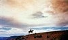Искатели (The Searchers)