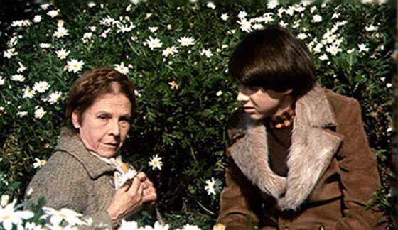Бад Корт (Bud Cort)