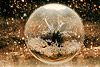 Фонтан (The Fountain), кадр из фильма