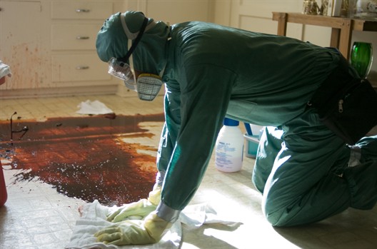 Чистильщик (Cleaner)